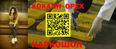 крисы Гагарин