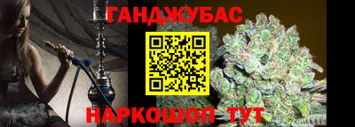 крисы Гагарин