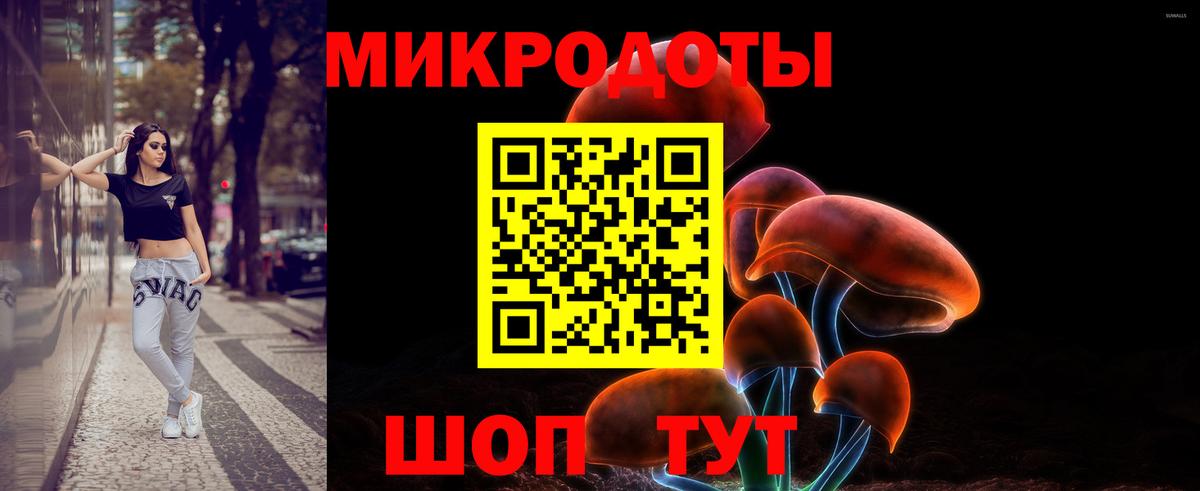 Кудрово  Псилоцибиновые грибы MAGIC MUSHROOMS  Вход с VPN 